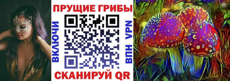купить наркоту  Сорочинск  KRAKEN ONION  Галлюциногенные грибы мицелий 